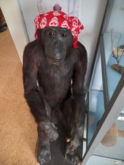 View larger image View larger image