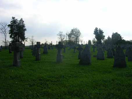 View larger image View larger image