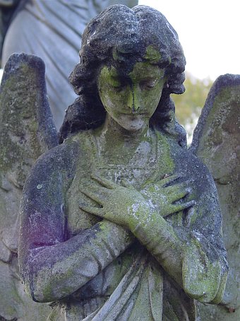 View larger image View larger image