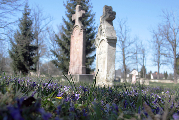 View larger image View larger image